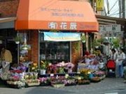 「花辰」　（神奈川県川崎市川崎区）の花屋店舗写真2